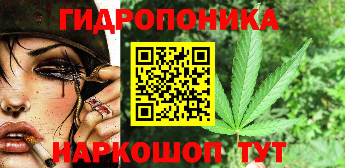 МАРИХУАНА конопля Архангельск